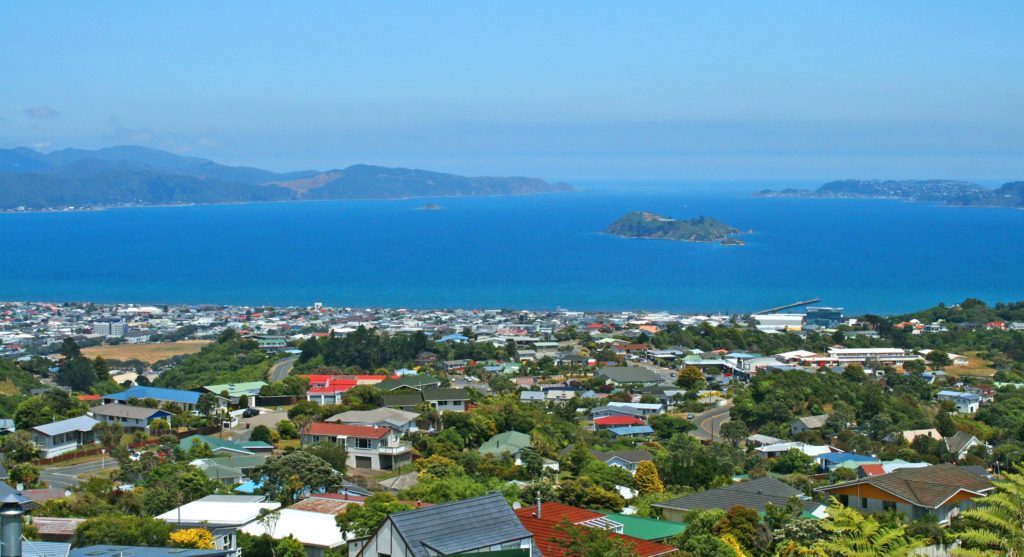 Maungaraki Harbour Views